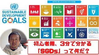 SDGsって何だ？3分で分かるSDGs🔰初心者用 Part1 [upl. by Ynos]