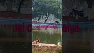 Ho kha saheya he chhati maiya  song  Yt short video [upl. by Oileduab]