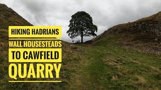 A HIKE FROM HOUSESTEADS TO CAWFIELD QUARRY ALONG THE HADRIAN WALLsycamore gap views adventure [upl. by Kiyohara920]