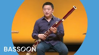 Guide to the Orchestra Bassoon [upl. by Iong421]