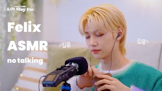 felix asmr 801 stay fm ver no talking [upl. by Gianina]