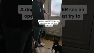 DOG TRAINING TIPS 🚨dog ddk9 dogtraining reels dogsofinstagram viralvideo viral 9 [upl. by Tergram431]