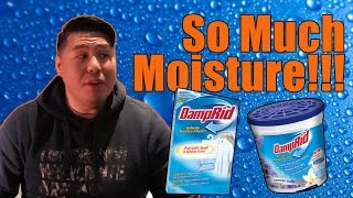 How To Get Rid of Moisture  Damprid Review [upl. by Linder]