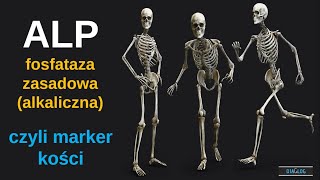 ALP  fosfataza zasadowa alkaliczna  marker kości i dróg żółciowych [upl. by Ransom]