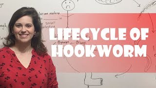 Lifecycle of Hookworm [upl. by Truscott441]