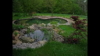 bassin piscine naturelle [upl. by Tterab]