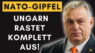 Ungarischer Wutausbruch NATOGipfel endet mit heftigem Eklat [upl. by Nauqe834]