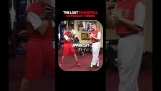 Learning the uppercut P5 boxing [upl. by Cerelly]