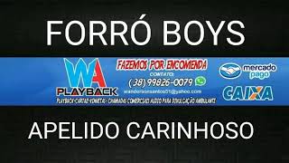 PLAYBACK FORRÓ BOYS APELIDO CARINHOSO [upl. by Gothard]