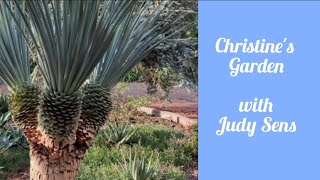 Christines Arid Garden [upl. by Htiekel]