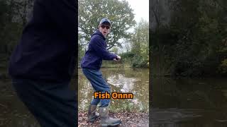 Carp Fishing on the Pole shorts fishing fyp carp carpfishing polefishing [upl. by Yeffej784]