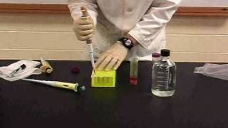 Protein Methods 2010  Dilutions with Chromophores no audio [upl. by Ennaed]