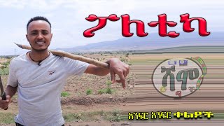 NEW  ፖለቲካ  Zedo  Dirshu comedy  አንፍር አንፍር ቀልዶች  ዜዶ  ድርሹ በጣም አስቂኝ ቀልድ [upl. by Sherlocke]