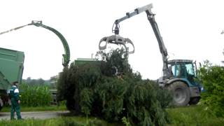 Pezzolato PTH 900820 L G  drum chipper broyeur cippatore [upl. by Yleve605]