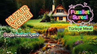 Fussilet Suresi Tamamı Türkçe Meal  ♦ Doğa Sesleri ile ♦ [upl. by Nirag]