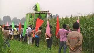 4QZ 2400 corn silage making machine napier grass harvesting machine [upl. by Aileen]