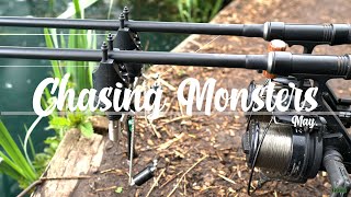 CHASING MONSTERS EPISODE 11  MAY 2021  THE CHASE  BACKONTHEBANK  CARP FISHING [upl. by Yuk]