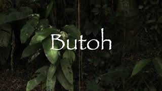 Butoh [upl. by Laris]