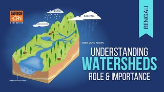 Watersheds Explained Essential Guide to Water Management amp Conservation  BENGALI [upl. by Neemsay]