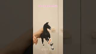 Moje nowe schleichy Podobają się wam music schleich horse konieschleich figurki opening [upl. by Orat179]