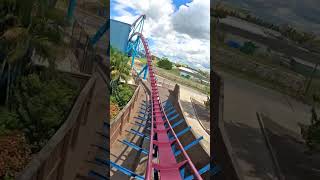 Riding Mako BACKWARDS 🦈🌊 seaworldorlando amusementpark seaworldorlando rollercoaster themepark [upl. by Notnek45]