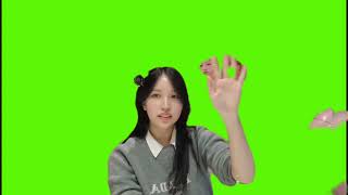 TWICE Mina Vlive Green Screen [upl. by Irt]