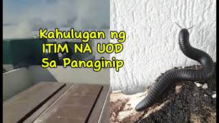 KAHULUGAN NG ITIM NA UOD SA PANAGINIP [upl. by Caleb]