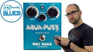 AquaPuss Analog Delay MkII Pedal  Way Huge Electronics [upl. by Amata]