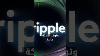 XRP تسطع وتتصدر الساحة [upl. by Oiled64]