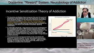 מערכת התגמול במח דופמין התמכרות לסמים ב  Incentive Sensitization Theory [upl. by Nashoma]