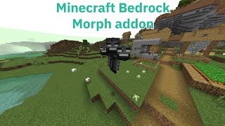 Morph addon showcase  Minecraft Bedrock [upl. by Meghann]