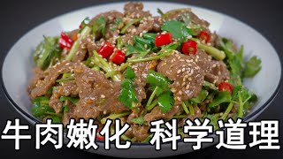 牛肉怎么腌制才嫩？大厨教你一招，牛肉这样做嫩如豆腐，香菜拌牛肉嫩滑好吃又入味。牛肉的正确腌制方法和腌制时间？生姜汁如何嫩化牛肉？哪些牛肉部位最嫩？好吃的凉拌汁怎么调？牛肉的做法 腌制牛肉牛肉美食 [upl. by Llibyc]