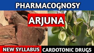 Arjuna Pharmacognosy  Cardiotonic Drugs Hindi  Dpharmacy New Syllabus [upl. by Abisha706]