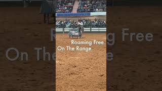 Mustang Magic 2024 Fort Worth Stock Show and Rodeo [upl. by Jarid525]