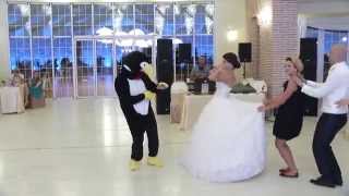 La danse du pingouin  Pinguin dance HD [upl. by Behlke475]