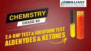 2 4 DNP Test  Iodoform Test  DNPH  Aldehydes amp Ketones  CBSE 12 ChemistryNEETJEE Video Lecture [upl. by Ihsar]