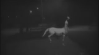 Top 10 Proof centaurs are real two real live centaurs caught on camera horseman Centaurus exposed [upl. by Gerry25]