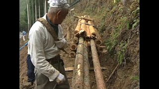 Master Craftsman Nagasawa Preserving Cultivation Techniques with Hand Tools in Modern Woodworking [upl. by Amalea]