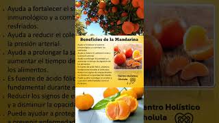 Beneficios de la Mandarina [upl. by Aihn]