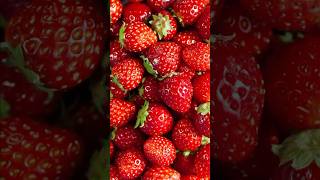 Strawberry Festival at Crave Junction Kandivali [upl. by Hcirdla]