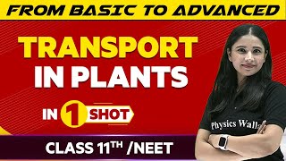 Transport In Plants in One Shot  NEETClass 11th Boards  Victory Batch [upl. by Agarhs611]