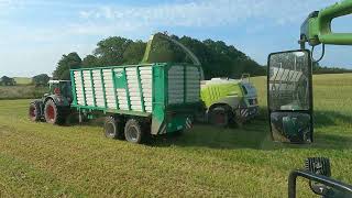 3 Slæt Græs 2024  Helsæd  🇩🇰 Dansk Landbrug  Claas Jaguar  Fendt Vario  Massey Ferguson [upl. by Sirhc]