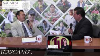 SAGARPA 2017 COMPONENTE EXTENSIONISMO DESARROLLO DE CAPACIDADES Y ASOCIATIVIDAD PRODUCTIVA [upl. by Cristabel]