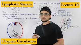 lymphatic system complete detail  Chapter Circulation  Video  10 [upl. by Akisej]