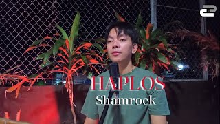 HAPLOS  SHAMROCK  JEY JEY JAMITO COVER [upl. by Konyn55]