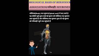 Association Neuron ll साहचर्य तंत्रिका ll manovigyanik psychology biology generalpsychology [upl. by Nahta]