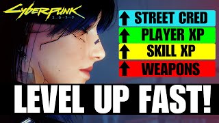 Cyberpunk 2077  Level Up EVERYTHING FAST XP Street Cred  Attribute Points  Best XP Farm [upl. by Ellyn36]