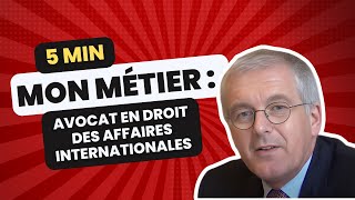 Le métier davocat en droit des affaires internationales  Les métiers du droit [upl. by Marlie]