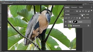 Intermediate Photoshop  Episode 8 Extract Detail Followup [upl. by Studley]