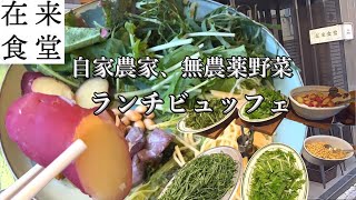 【在来食堂】自家農家、無農薬野菜ランチビュッフェ Organic vegetable lunch buffet [upl. by Ainat]